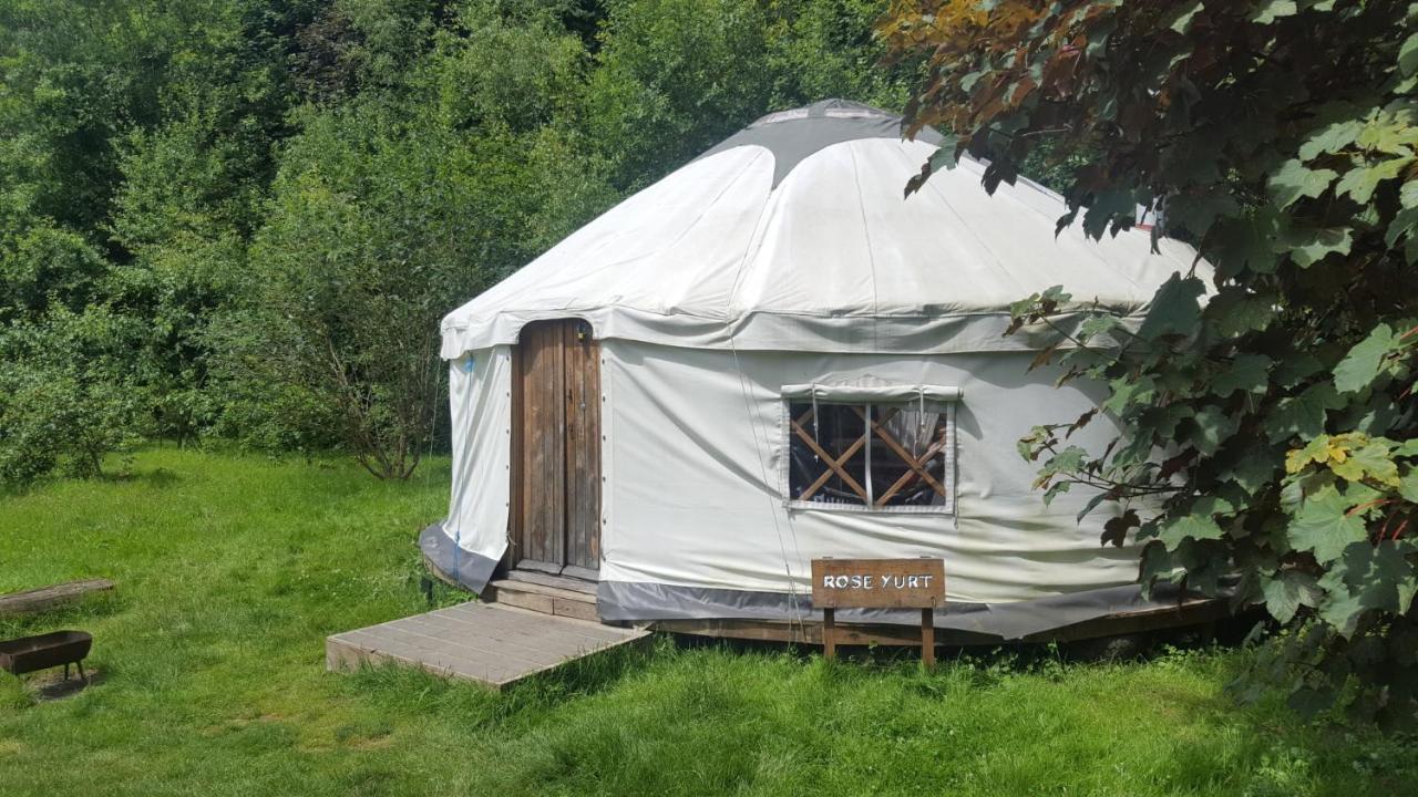 South Downs Eco Lodge&Camping East Meon Exterior foto