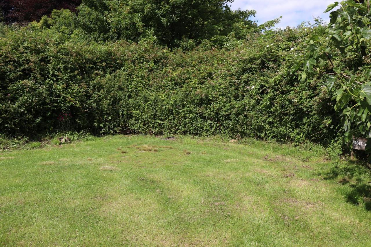 South Downs Eco Lodge&Camping East Meon Exterior foto