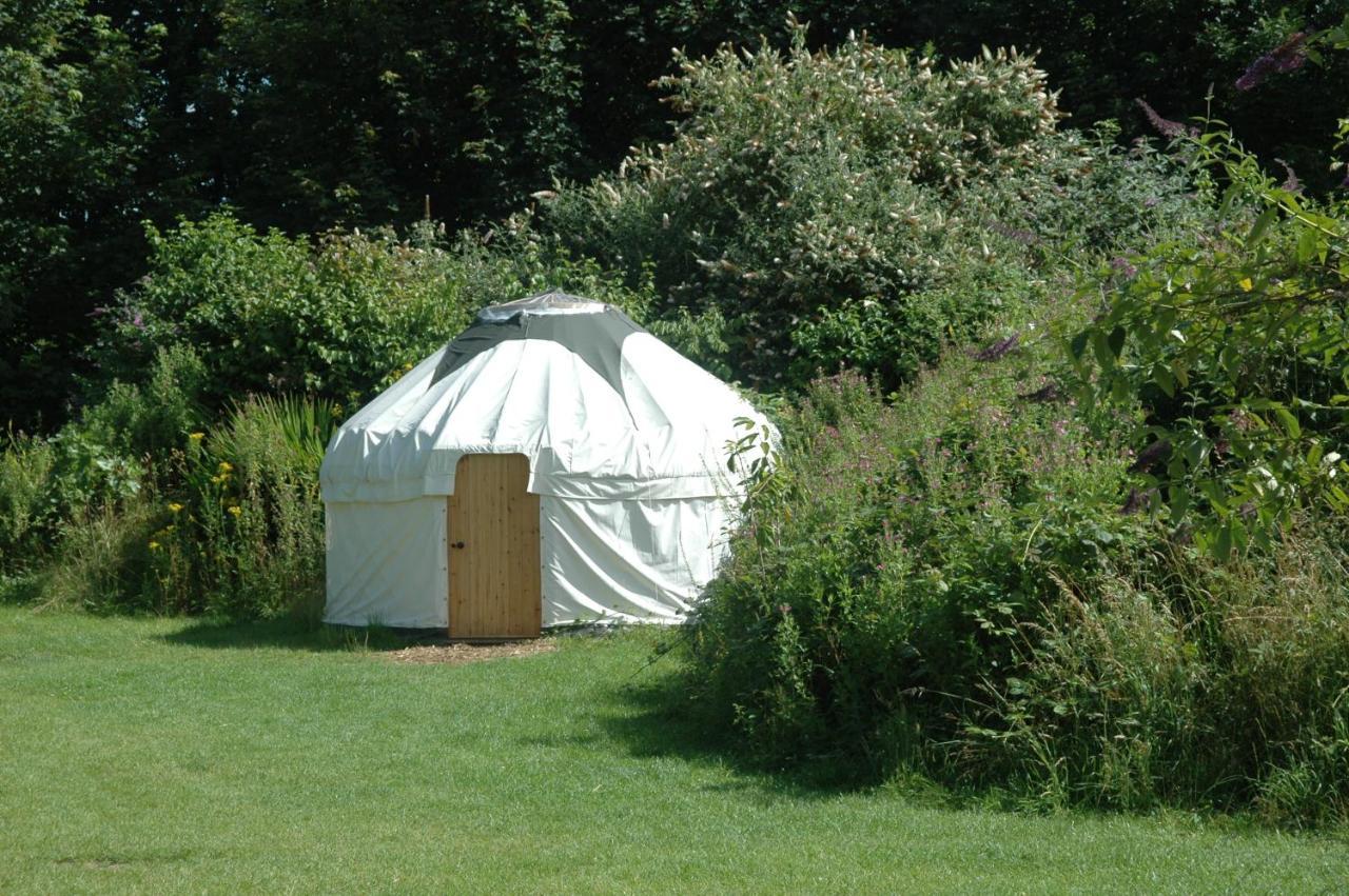 South Downs Eco Lodge&Camping East Meon Exterior foto