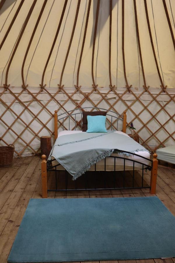 South Downs Eco Lodge&Camping East Meon Exterior foto