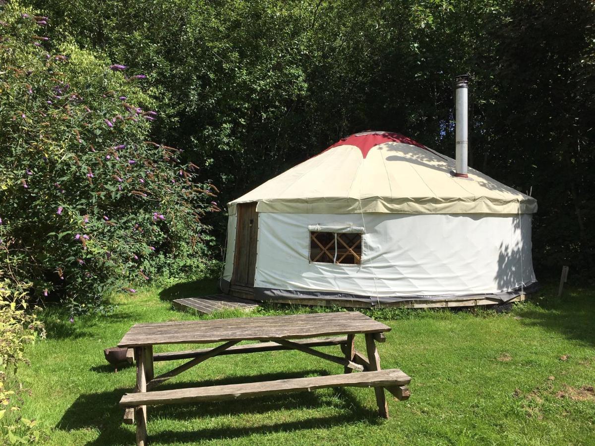 South Downs Eco Lodge&Camping East Meon Exterior foto