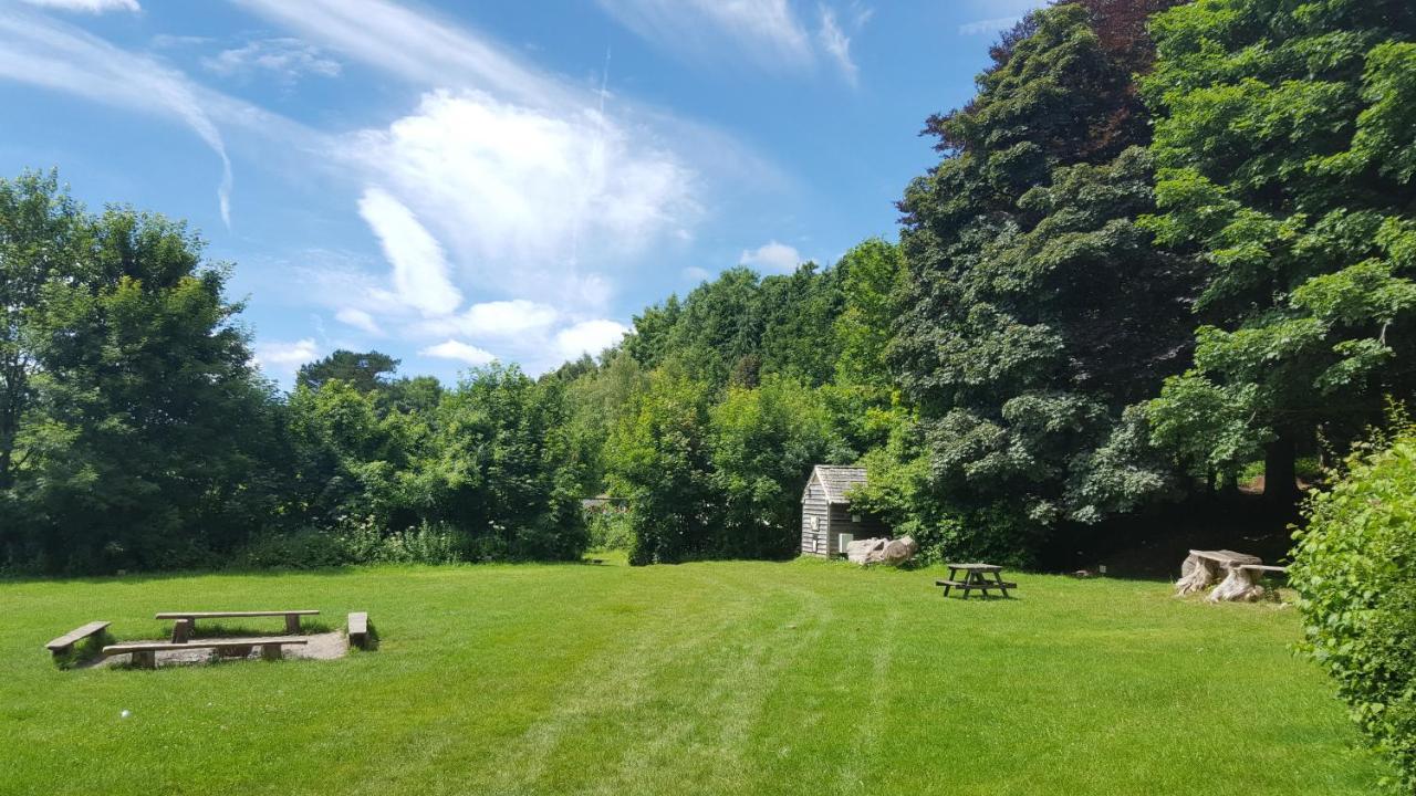South Downs Eco Lodge&Camping East Meon Exterior foto