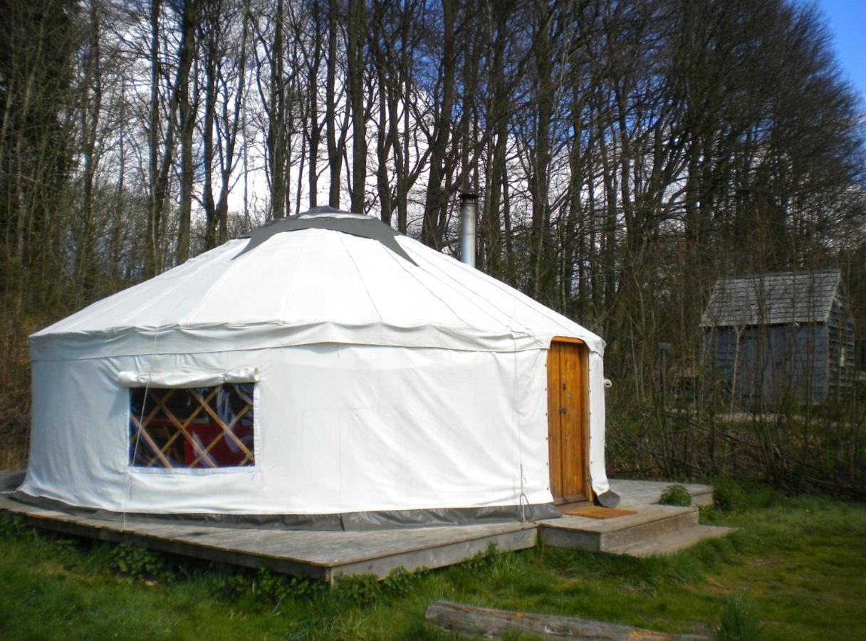 South Downs Eco Lodge&Camping East Meon Exterior foto