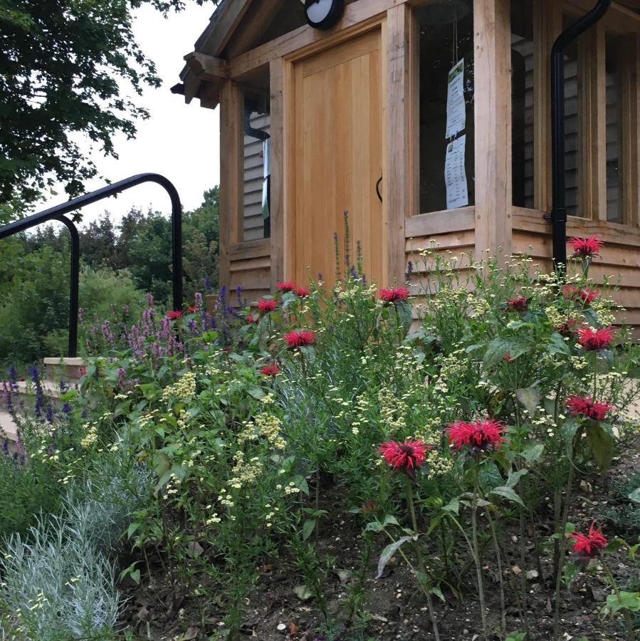 South Downs Eco Lodge&Camping East Meon Exterior foto