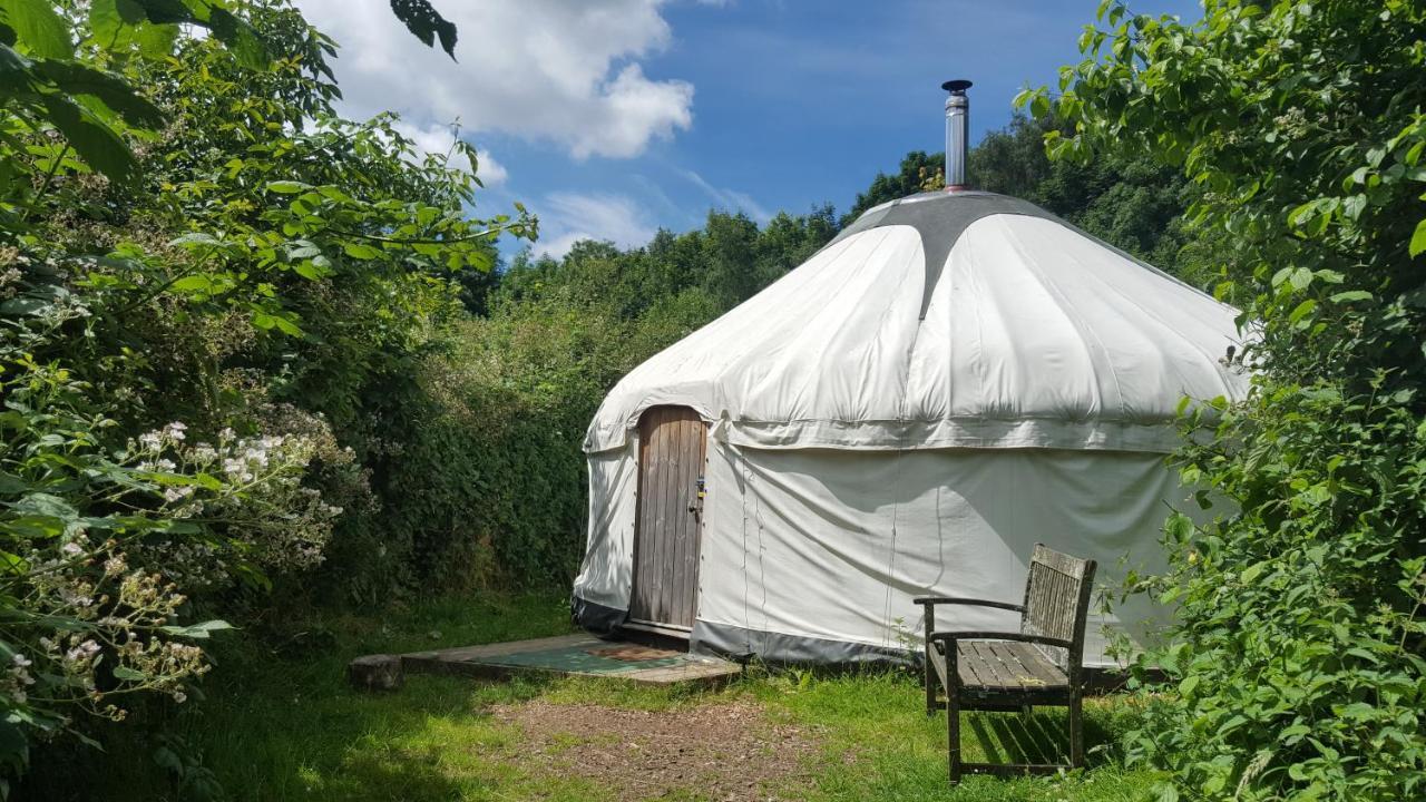 South Downs Eco Lodge&Camping East Meon Exterior foto
